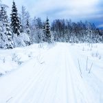 Cross country skiing track in the wilderness of Sweden